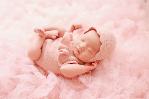 和田8个月宝宝辅食